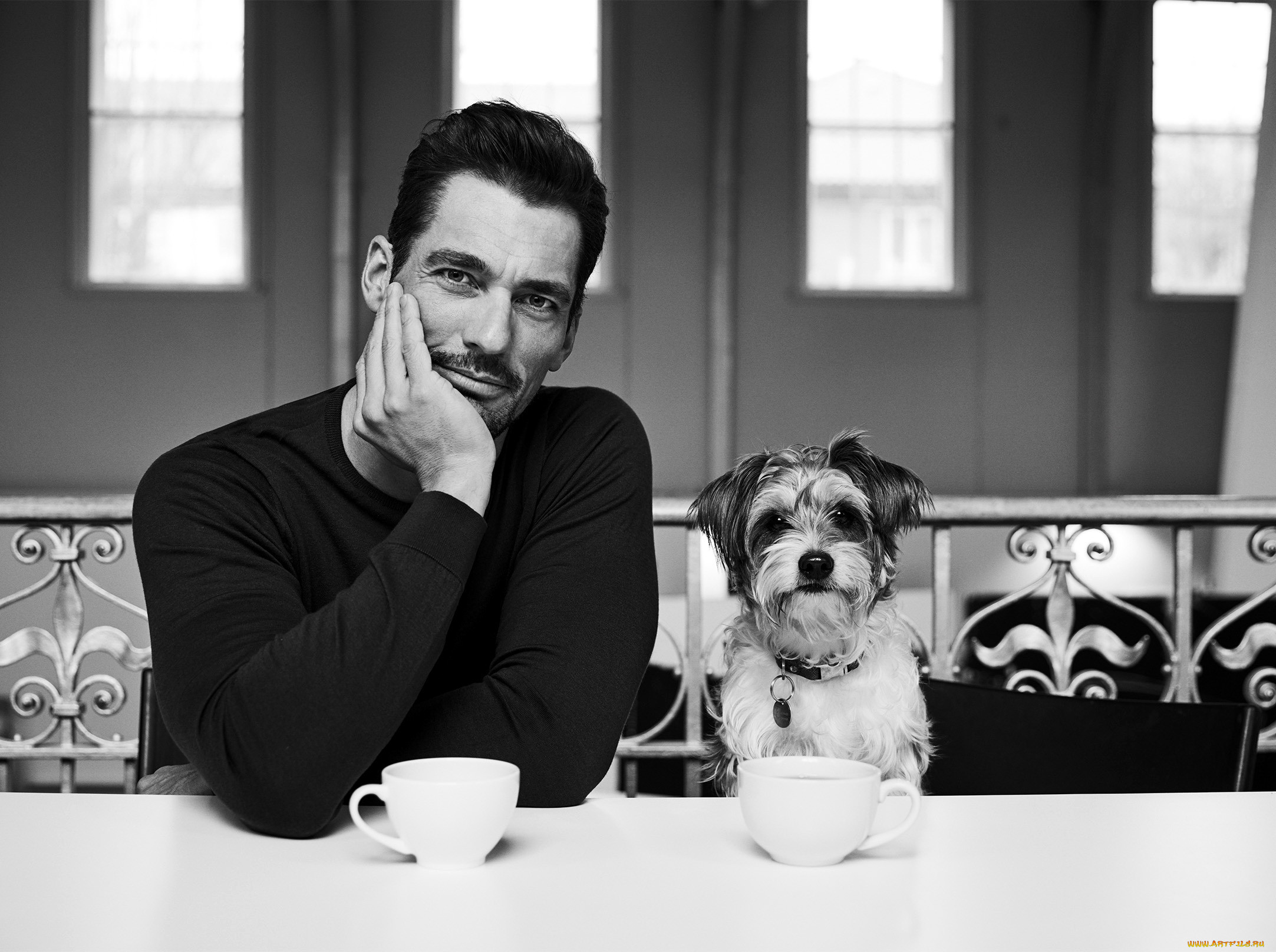 , david gandy, , 